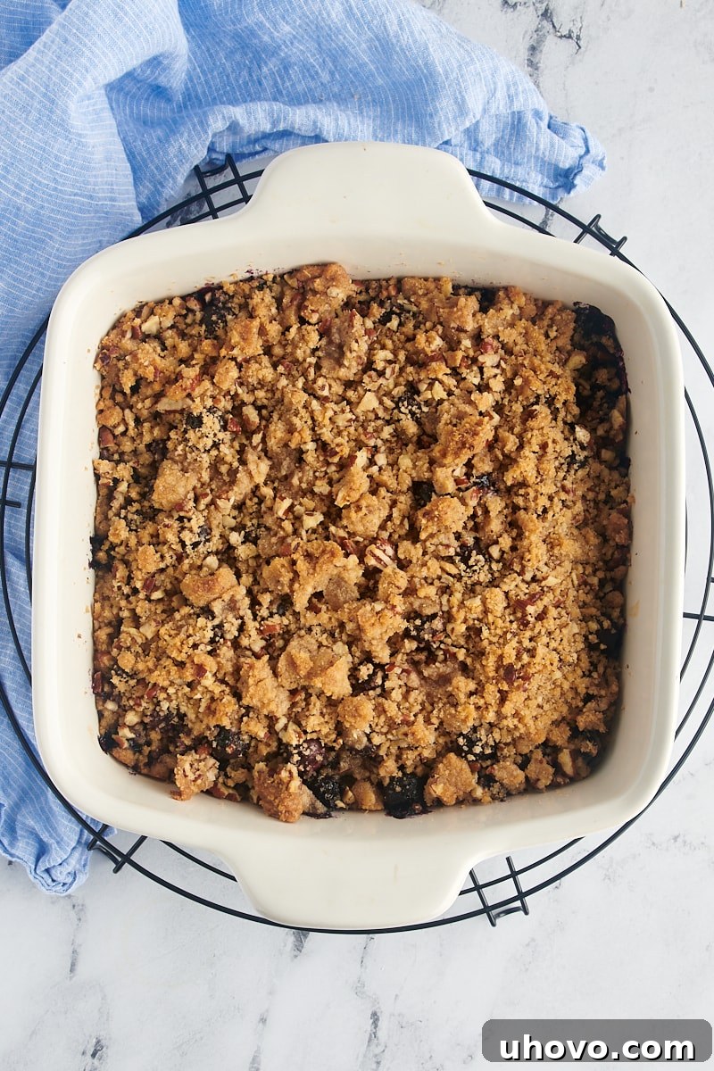Overhead view of a freshly baked blueberry crisp in a ceramic baking dish, cooling on a round wire rack.