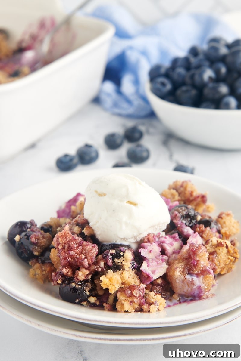Blueberry crisp on plate with a generous scoop of vanilla ice cream on top, ready to be enjoyed.