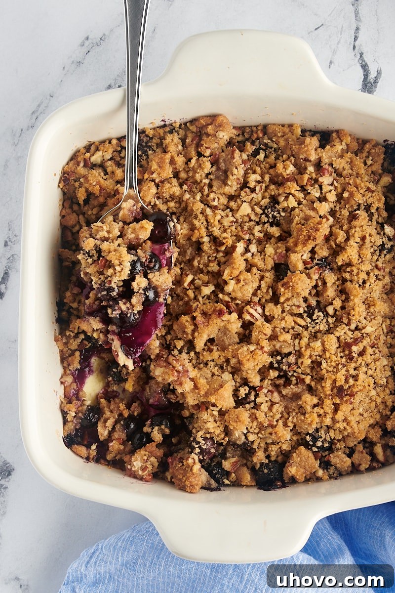 Close-up of a baking dish filled with golden-brown blueberry crisp, a spoon resting beside it, inviting a taste.