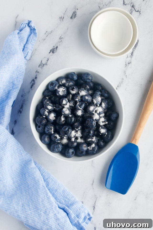 Overhead view of blueberries in a bowl, ready for sugar and lemon juice.