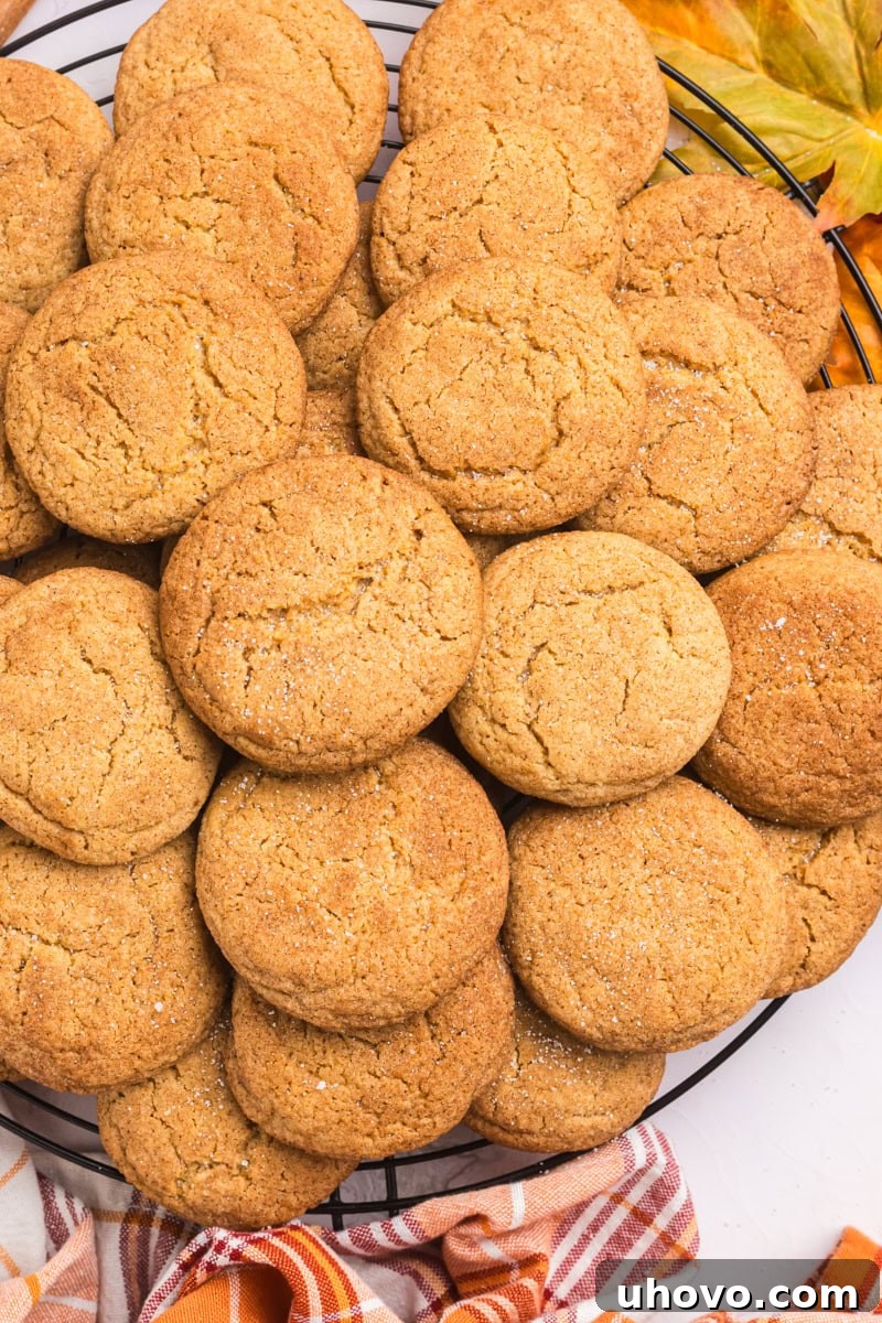 overhead view of apple butter snickerdoodles piled on a round wire rack