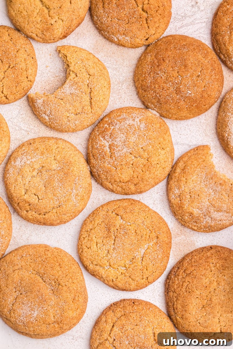 overhead view of apple butter snickerdoodles on a white surface