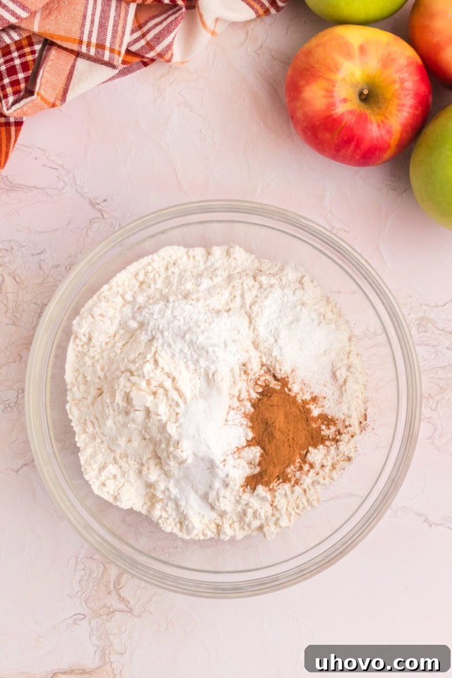 overhead view of flour, baking soda, cream of tartar, baking powder, salt, and cinnamon in a glass mixing bowl