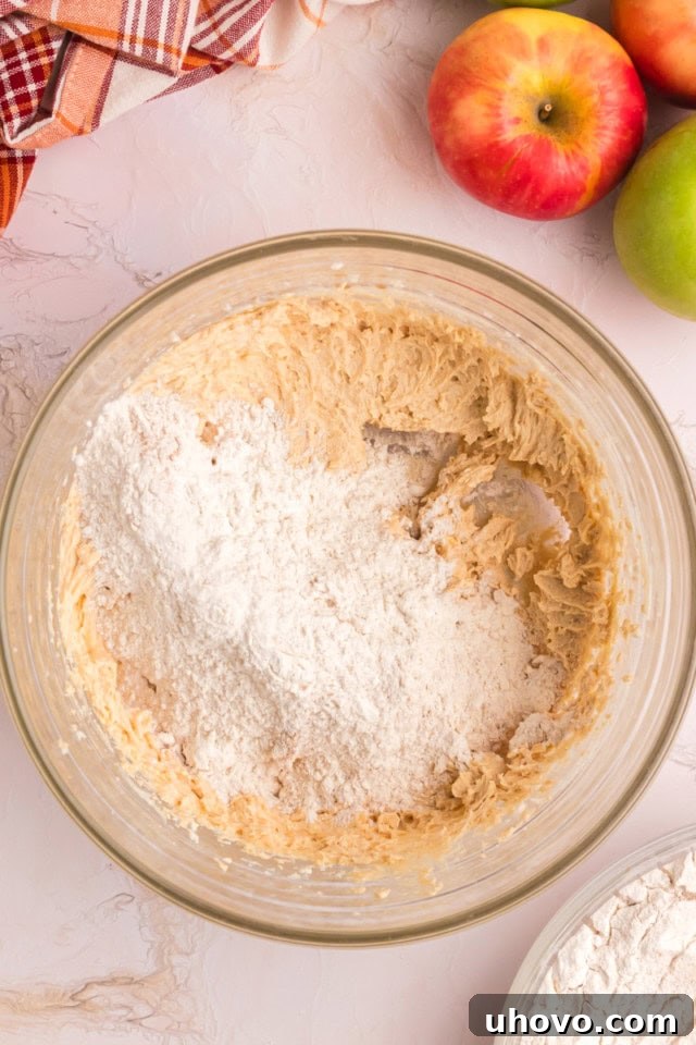 overhead view of dry ingredients added to wet ingredients for apple butter snickerdoodles