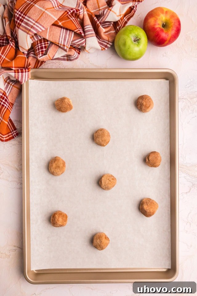 overhead view of apple butter snickerdoodles on a parchment-lined baking sheet ready to go into the oven