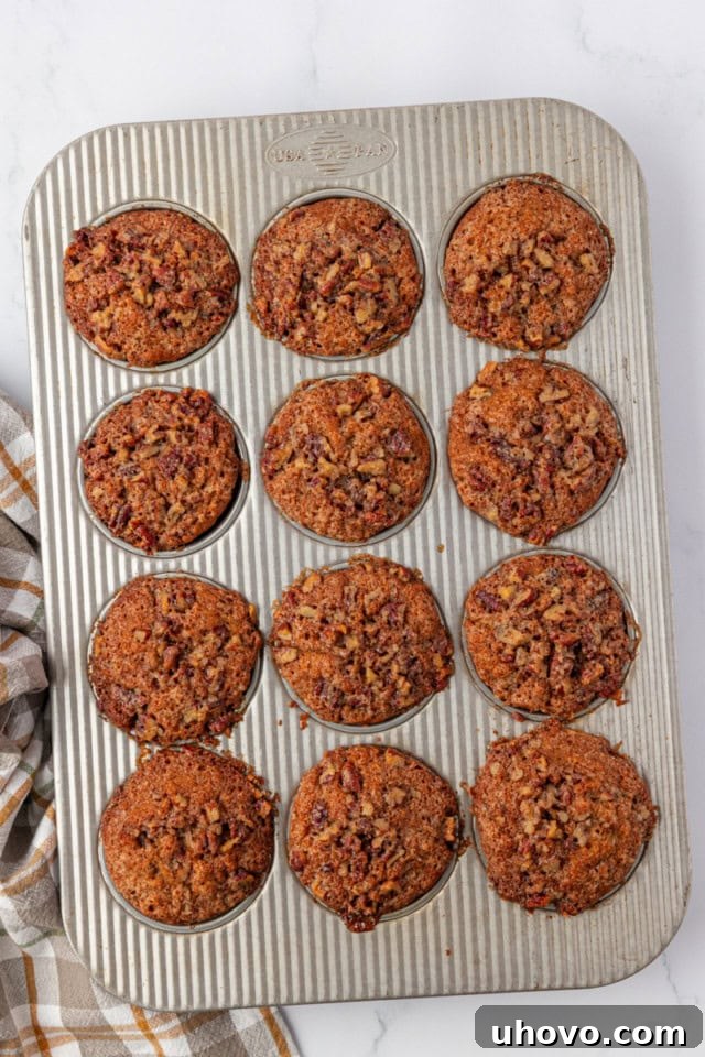 overhead view of freshly baked pecan praline muffins in a muffin pan