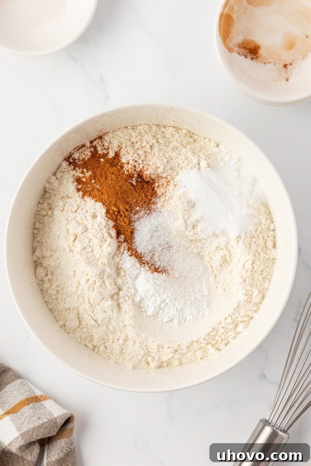 overhead view of flour, baking powder, baking soda, salt, and cinnamon in a white mixing bowl