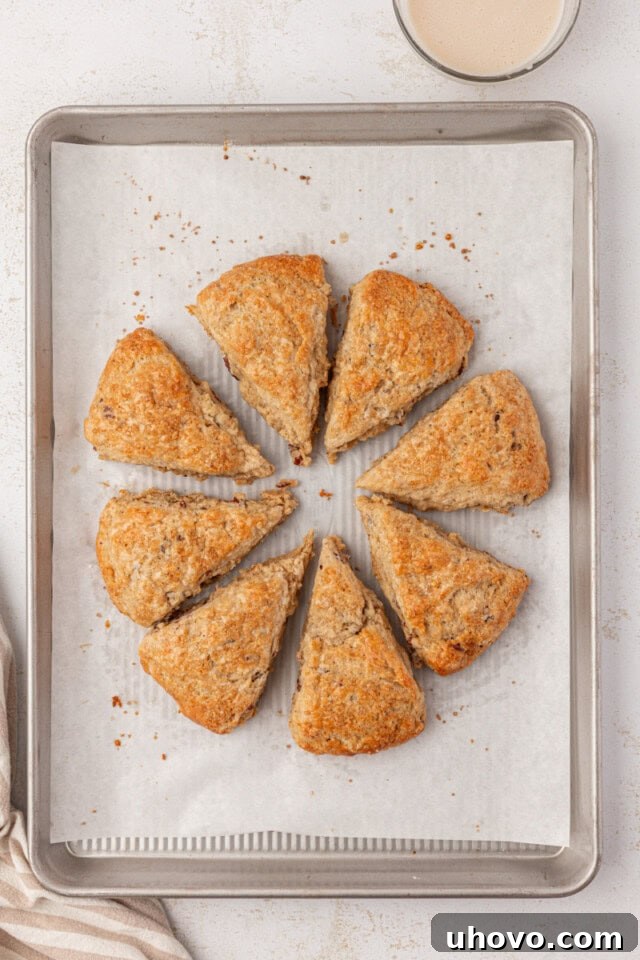 A batch of golden-brown, freshly baked maple scones cooling on a parchment-lined baking sheet, steam gently rising.