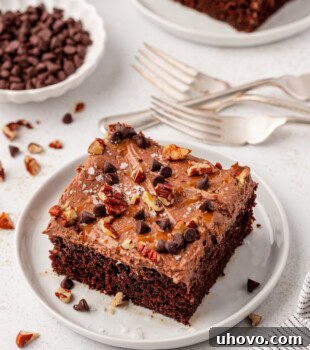 A delightful slice of turtle cake on a white plate, with another slice partially visible in the background, showcasing its rich layers and toppings.
