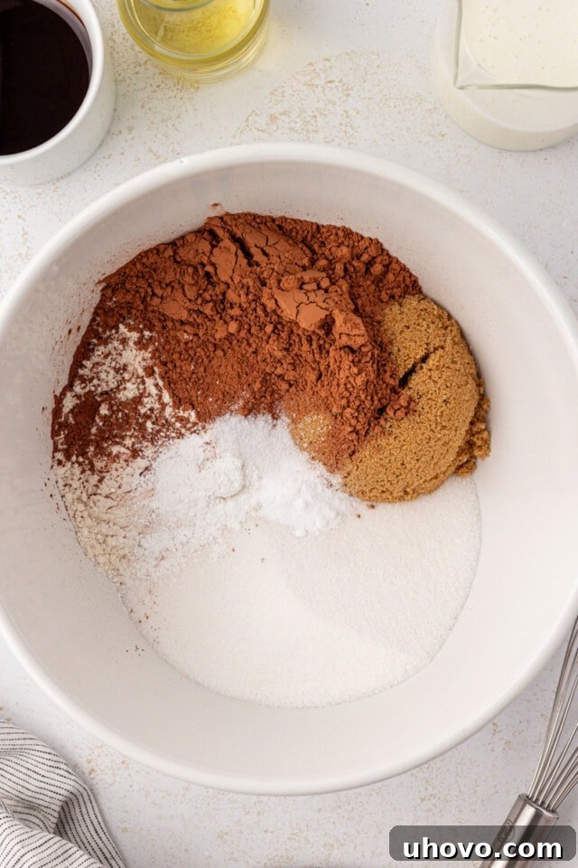 An overhead view showing the dry ingredients for the chocolate cake—flour, granulated sugar, brown sugar, cocoa powder, baking soda, baking powder, and salt—meticulously combined in a white mixing bowl.