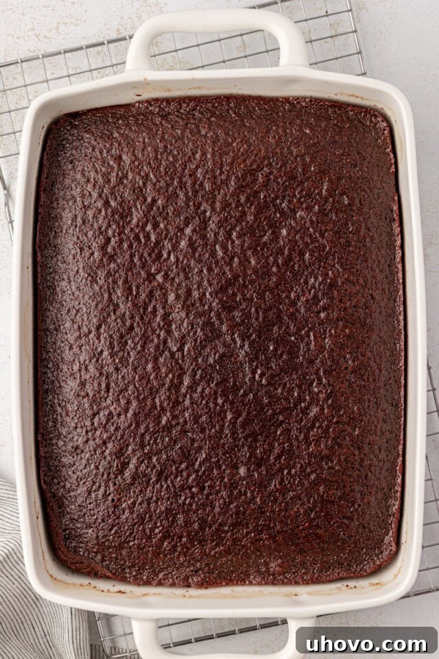 An overhead view of a freshly baked, rich chocolate cake resting in a white rectangular baking pan, having just come out of the oven and cooling slightly.