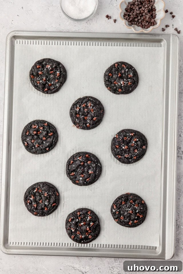 overhead view of freshly baked black cocoa cookies on a parchment-lined baking sheet
