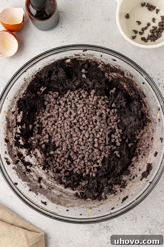mini chocolate chips added to dark chocolate cookie dough