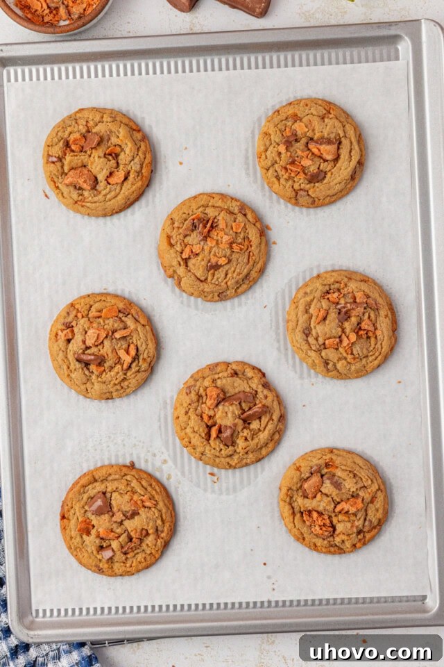 overhead view of freshly baked Butterfinger cookies on a parchment-lined baking sheet
