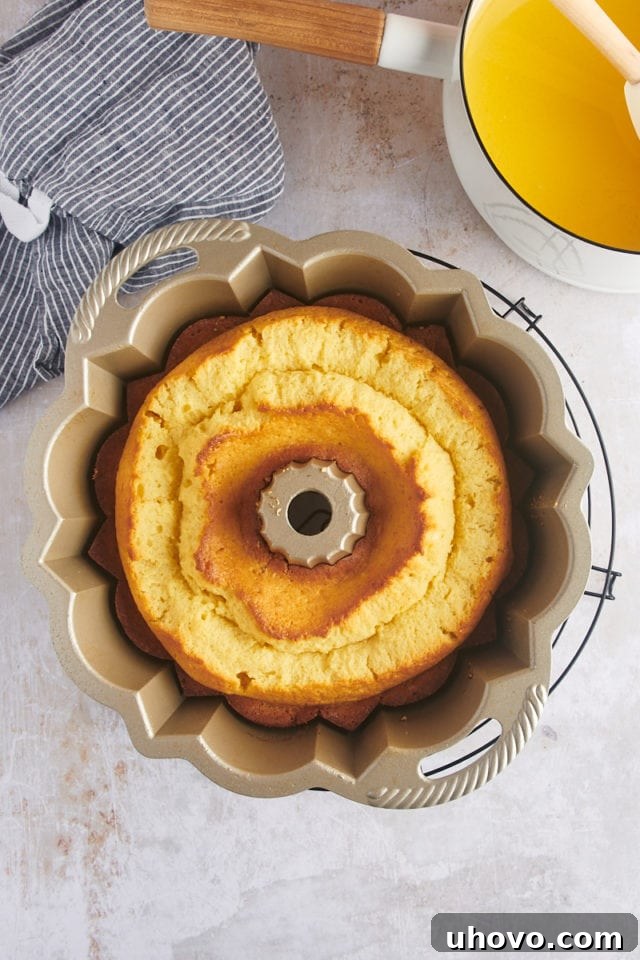 Overhead view of the freshly baked rum cake still in the Bundt pan, resting on a wire rack to begin cooling.