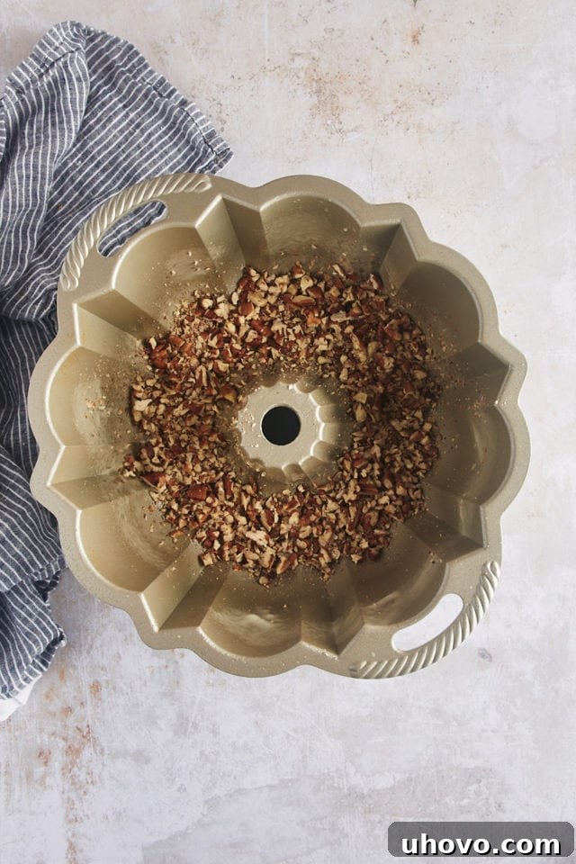 Overhead view of finely chopped pecans evenly spread at the bottom of a greased Bundt pan.