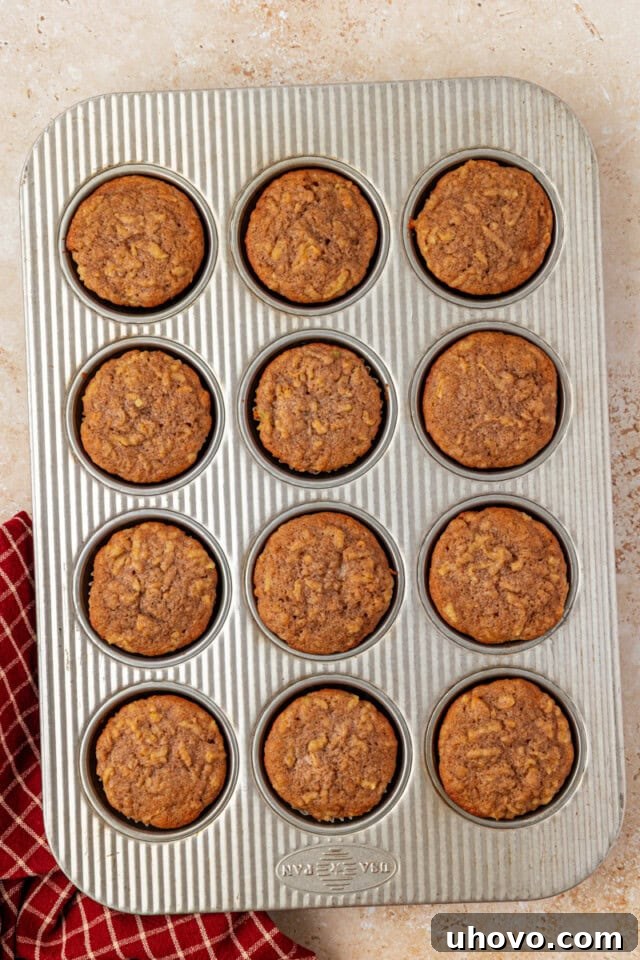 Overhead view of a muffin pan filled with perfectly golden, freshly baked apple cupcakes cooling slightly after being removed from the oven.