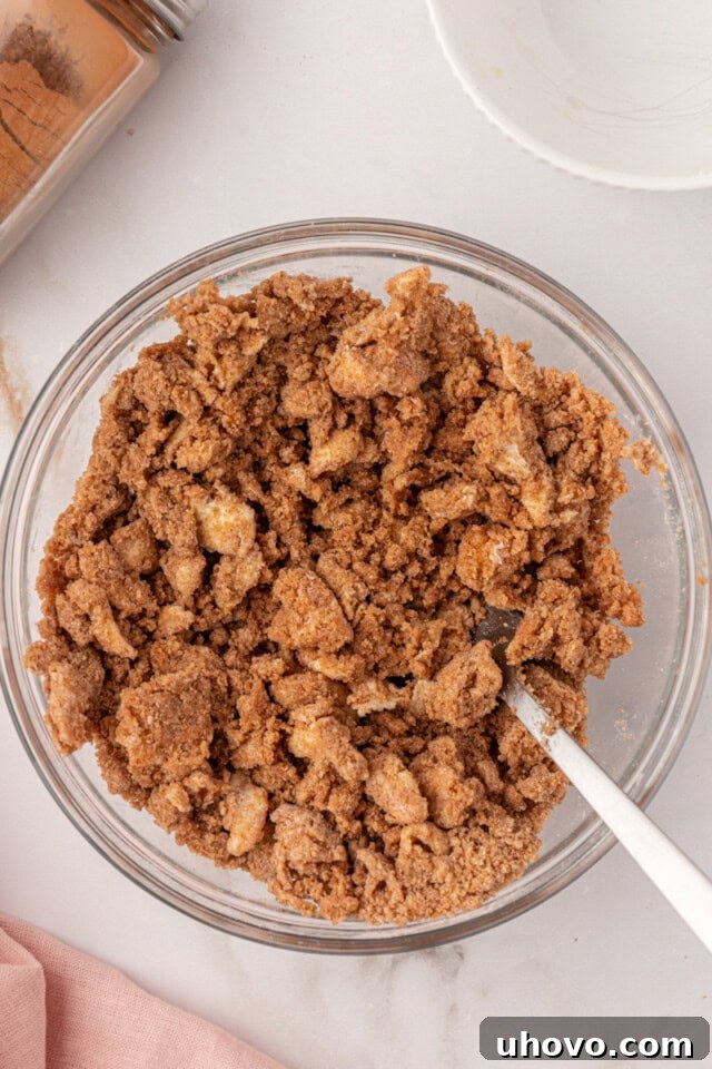 overhead view of cinnamon crumb topping mixture in a mixing bowl