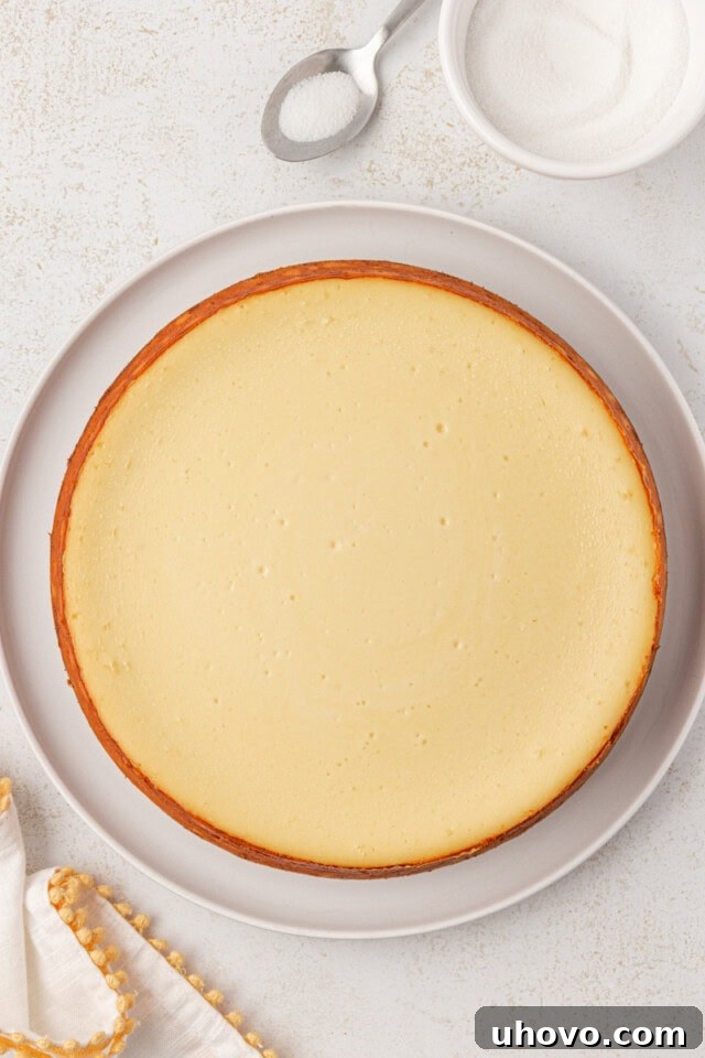 overhead view of freshly baked cheesecake on a white serving plate