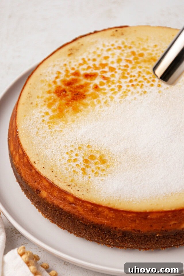 sugar topping on cheesecake being caramelized with a kitchen torch