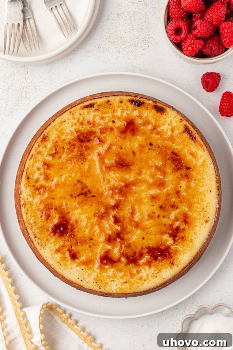 overhead view of crème brûlée cheesecake on a white serving plate, surrounded by plates, forks, and fresh raspberries