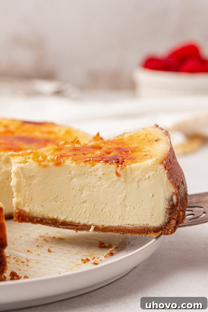 a slice of crème brûlée cheesecake on a pie server being removed from the remaining cheesecake