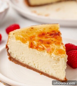 a slice of crème brûlée cheesecake on a white plate with more cheesecake in the background