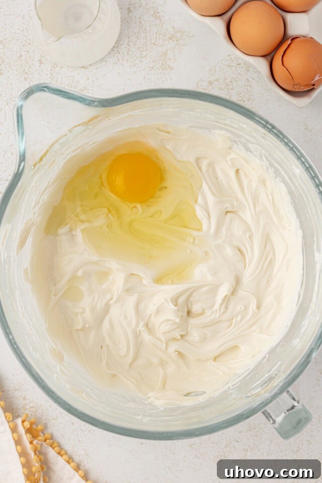 overhead view of egg added to cheesecake mixture