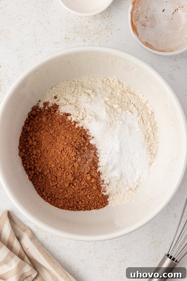 Overhead view of all-purpose flour, unsweetened cocoa powder, baking soda, and salt mixed in a white ceramic bowl, ready to be incorporated.