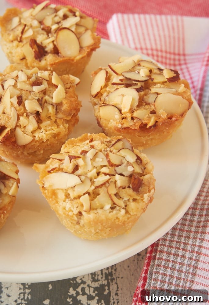 Delicate Raspberry Almond Tarts, a perfect blend of sweet and nutty flavors, ideal for gifting or a delightful dessert.