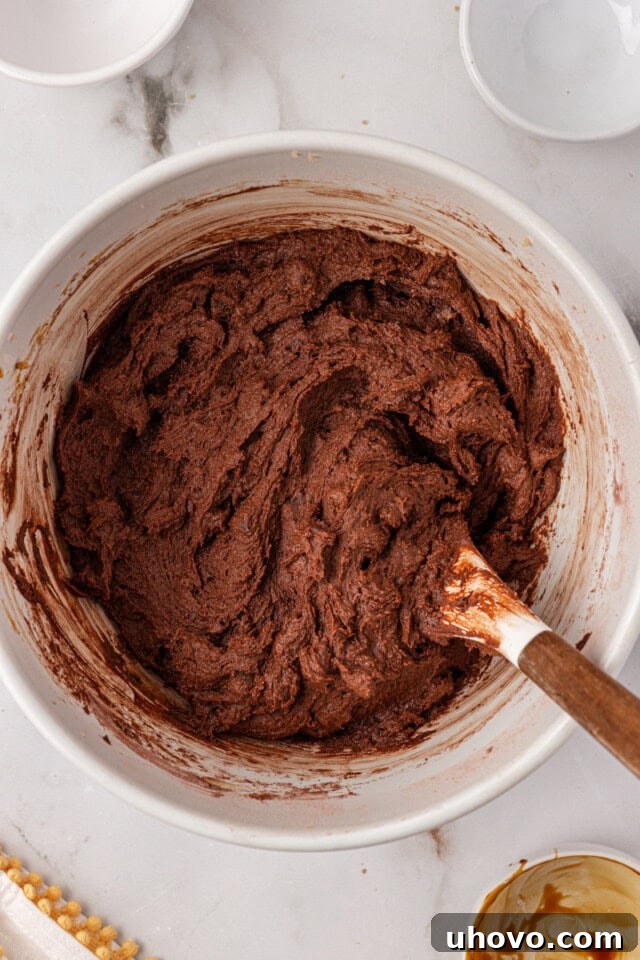 An overhead view of chocolate ginger cookie dough in a white mixing bowl, perfectly combined and ready for the next step.