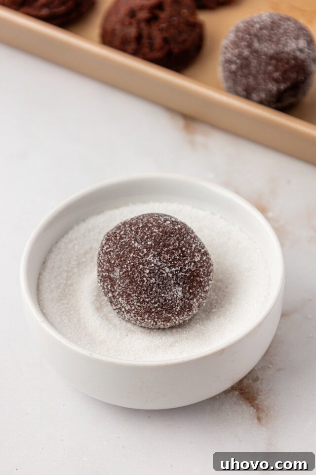 A chocolate ginger cookie dough ball being gently rolled in a shallow dish of granulated sugar, ensuring a thorough coating for a sparkly finish.