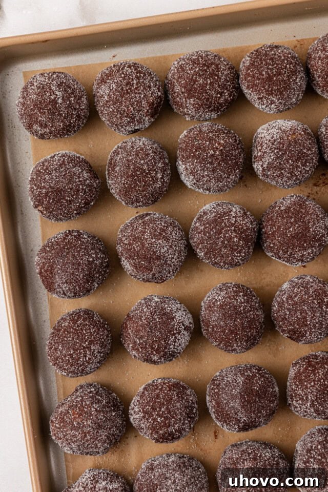 An overhead view of perfectly scooped chocolate ginger cookies, rolled in sugar and neatly placed on a lined baking sheet, ready for chilling before baking.