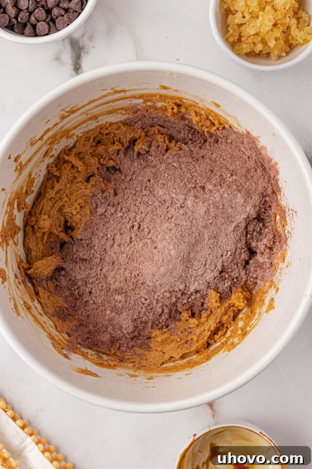 An overhead view showing the gradual addition of dry ingredients into the wet ingredients for chocolate ginger cookie dough, creating a deepening brown mixture.