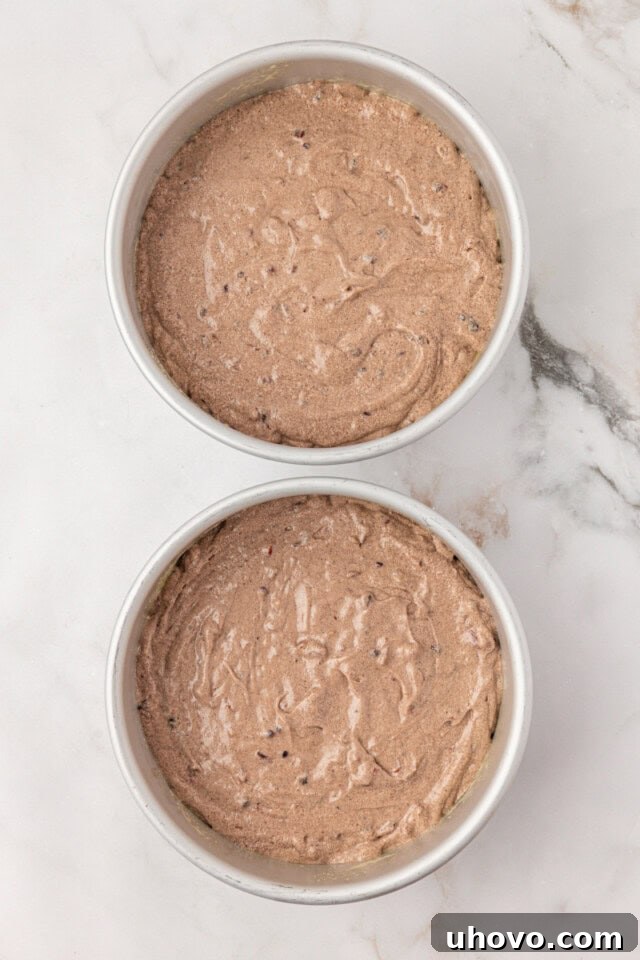 overhead view of Kentucky jam cake batter in two round cake pans ready to go into the oven