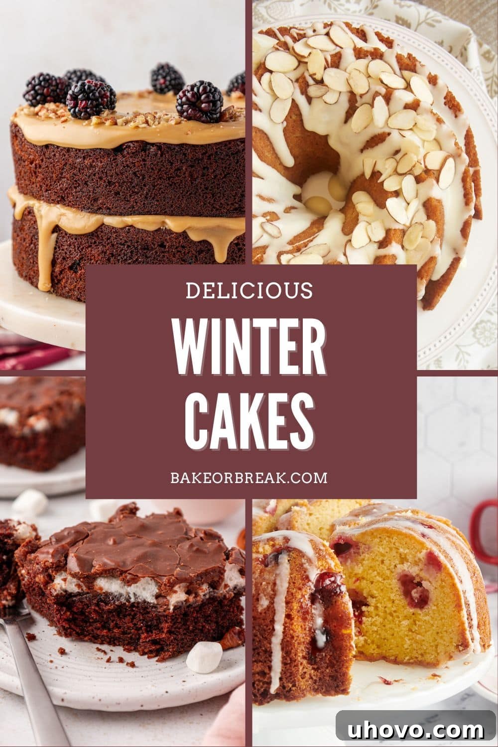 A vibrant collage showcasing various winter cake recipes. Featured prominently are a rustic Kentucky jam cake with fresh blackberries, an elegant amaretto almond Bundt cake, a decadent Mississippi mud cake, and a festive cranberry Bundt cake. The image evokes a sense of warmth, comfort, and holiday baking inspiration.