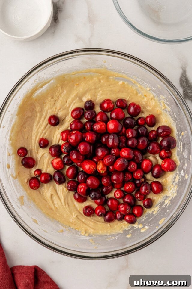 Overhead view of fresh red cranberries being gently folded into the prepared coffee cake batter in a large glass bowl.