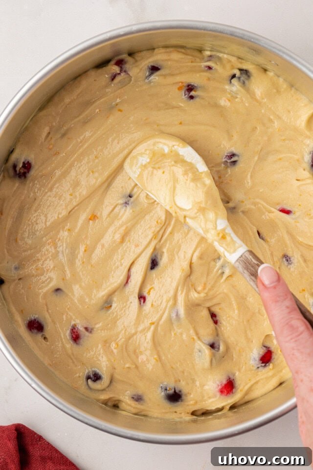 Overhead view of the cranberry coffee cake batter being carefully spread evenly into a greased 9-inch springform pan.