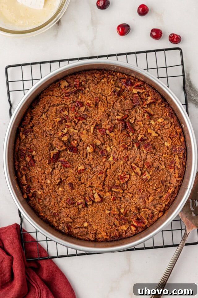 Overhead view of a freshly baked cranberry coffee cake, still in its springform pan, cooling on a wire rack.