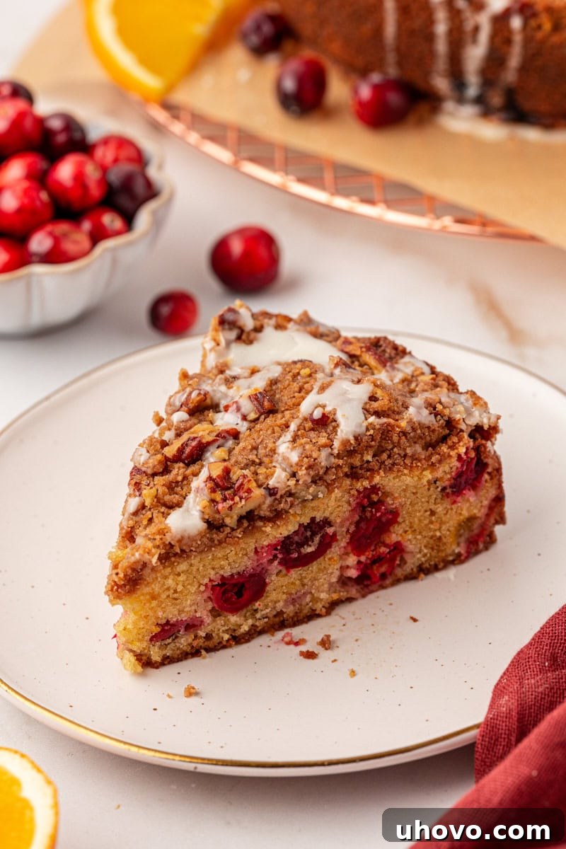 A close-up of a single slice of cranberry coffee cake on a white plate, showcasing its tender crumb and streusel topping.