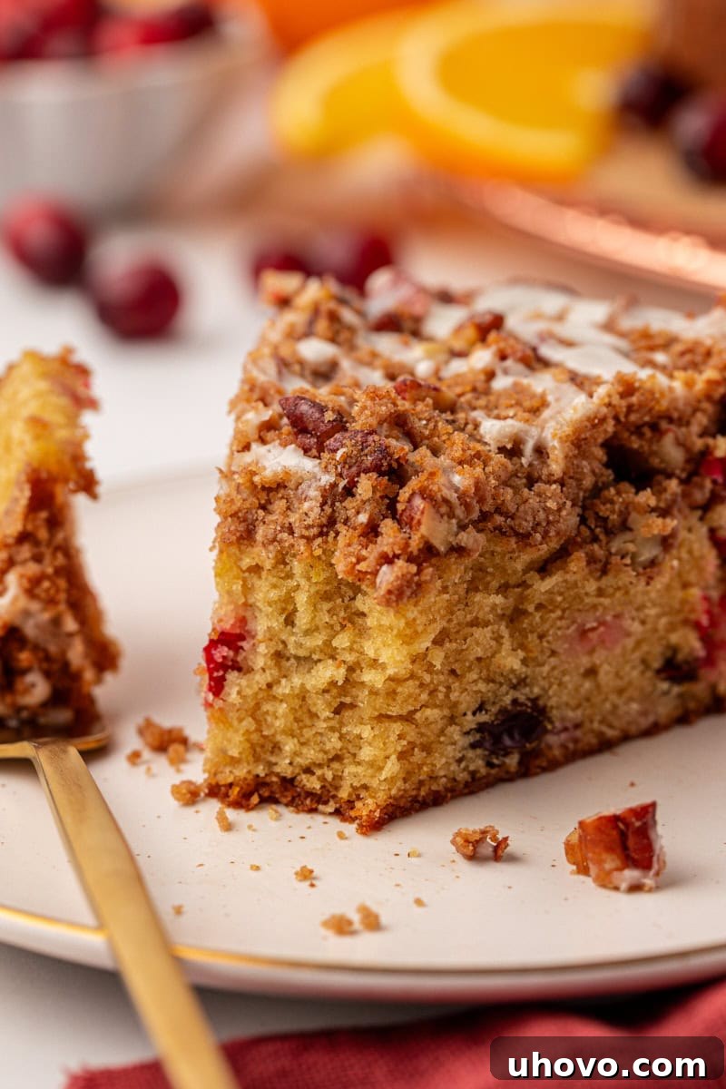 A slice of cranberry coffee cake on a white plate, with a fork holding a bite, inviting you to enjoy its delightful flavors.