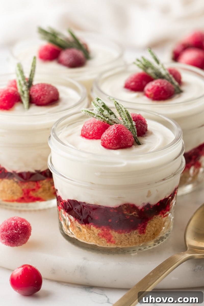 four no-bake white chocolate cranberry cheesecake jars topped with sugared cranberries and rosemary on a marble serving tray