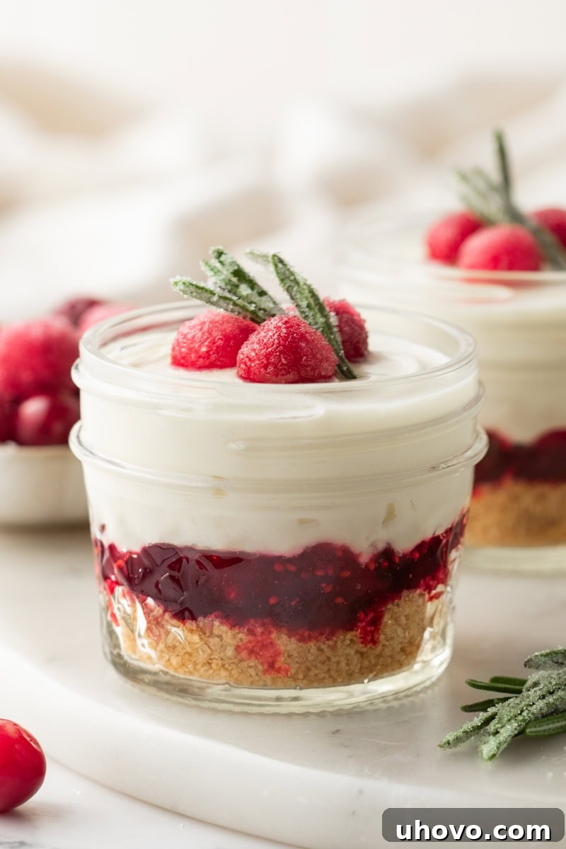 a no-bake white chocolate cranberry cheesecake jar on a marble surface with more jars in the background