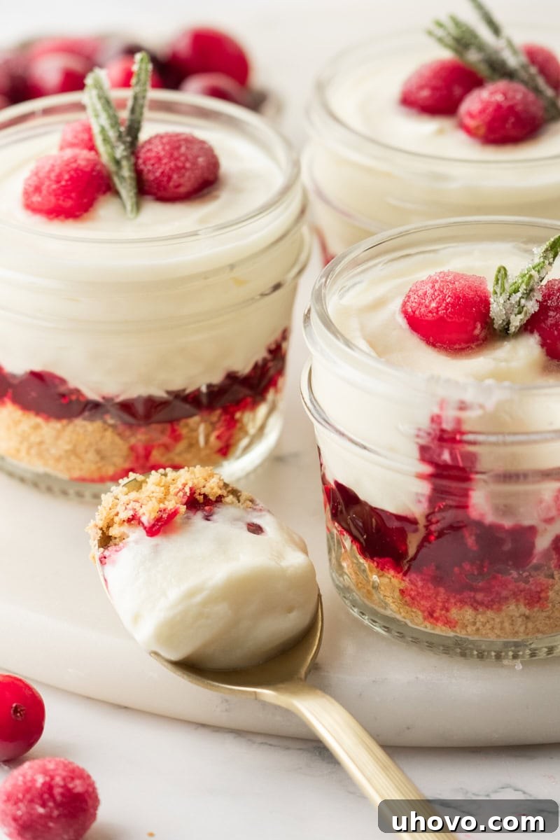 a bite of no-bake white chocolate cranberry cheesecake on a spoon with more cheesecake jars in the background