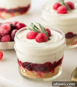 A beautiful no-bake white chocolate cranberry cheesecake jar ready to be enjoyed.