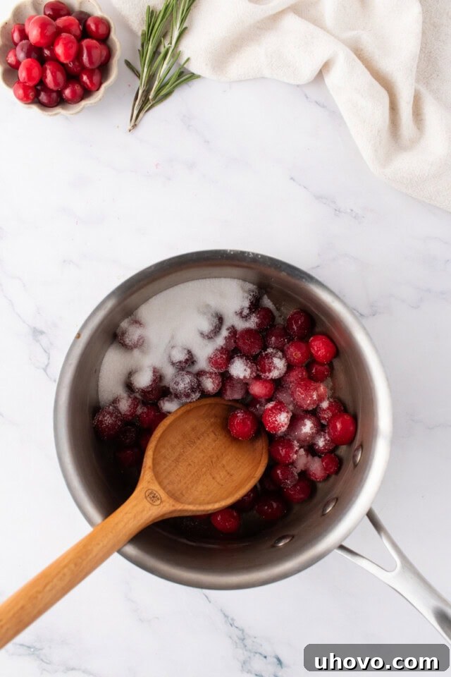 overhead view of cranberries, sugar, and water in a saucepan
