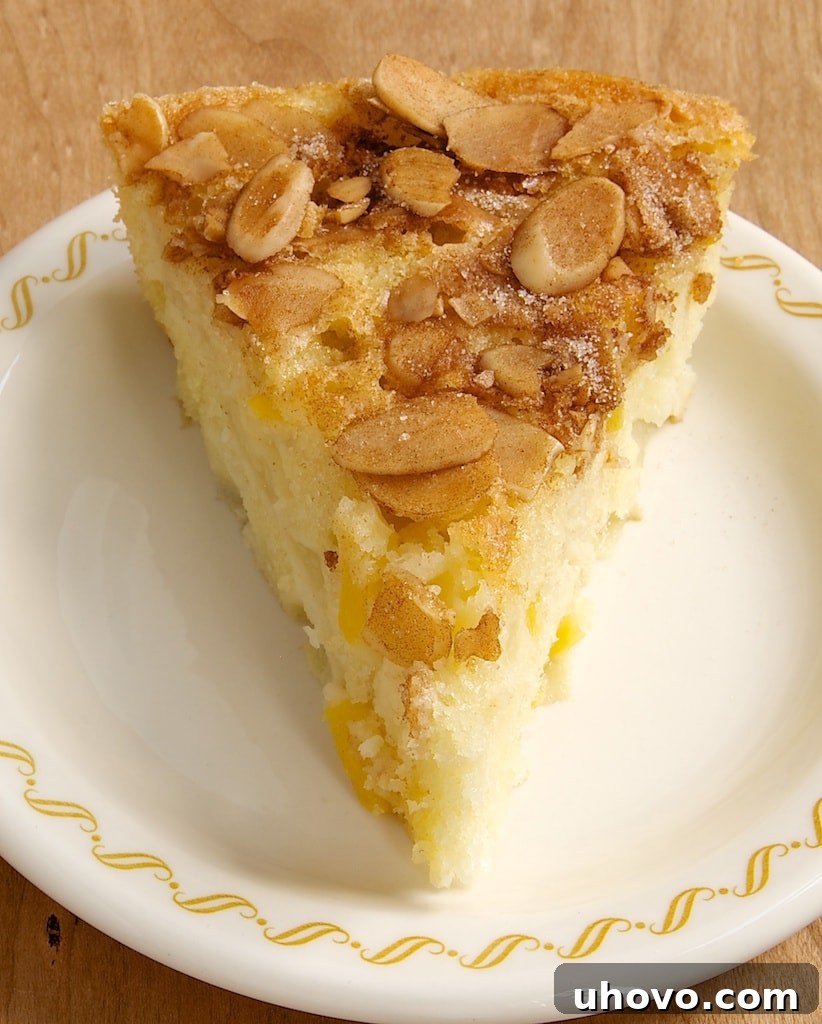 Peach and Nectarine Buckle is a lovely, delicate, cake-like dessert with a sweet cinnamon-almond crumb. - Bake or Break
