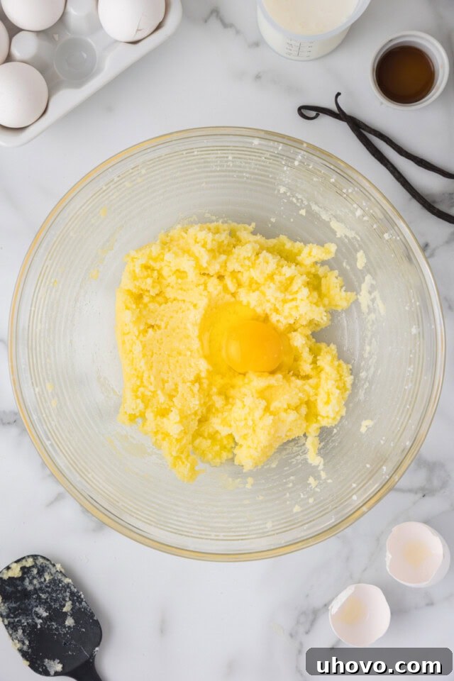 overhead view of egg added to creamed butter and sugar