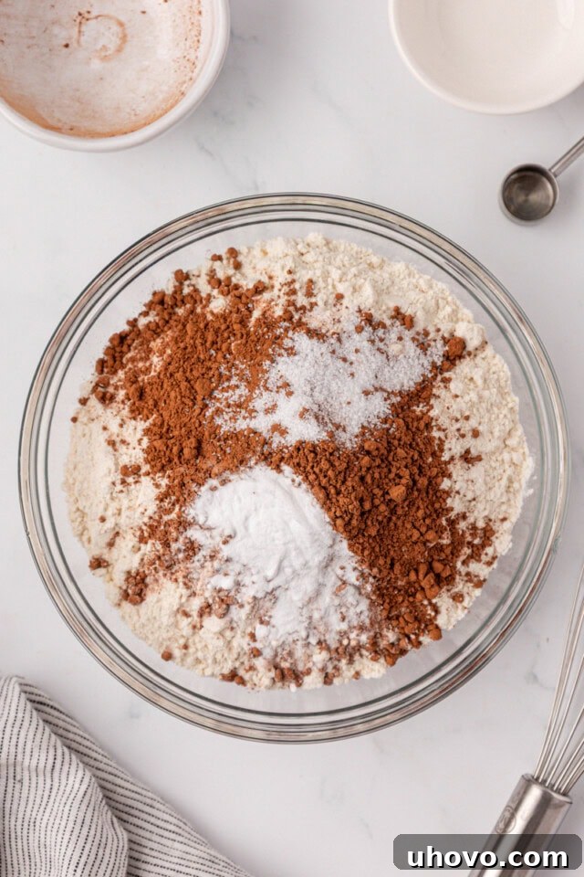 overhead view of flour, sugar, cocoa powder, baking soda, and salt in a mixing bowl