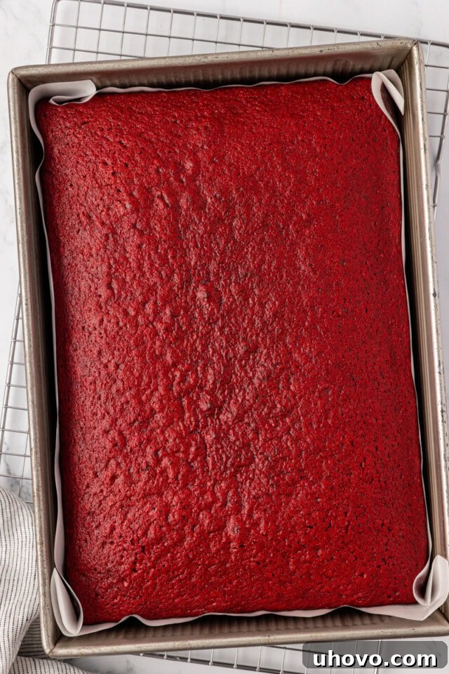 overhead view of freshly baked red velvet sheet cake in a 9x13 pan